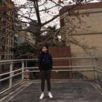 Nick Yip profile picture
